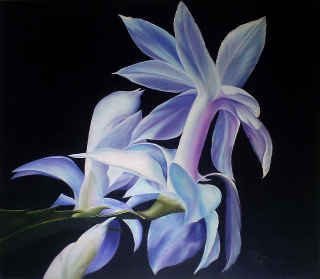 Orquídea