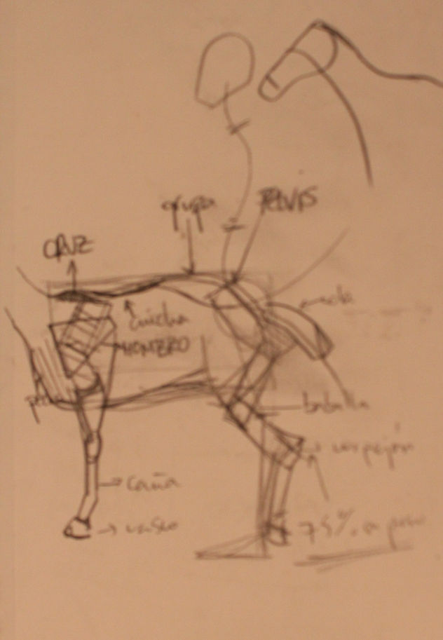 cuaderno de bocetos1