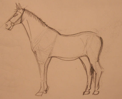 Cuaderno de bocetos 4
