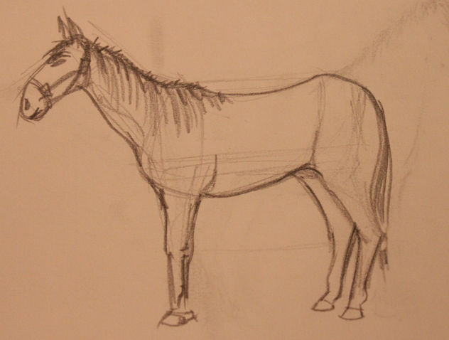 cuaderno de bocetos5