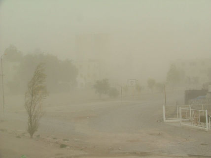 Viento patagonico