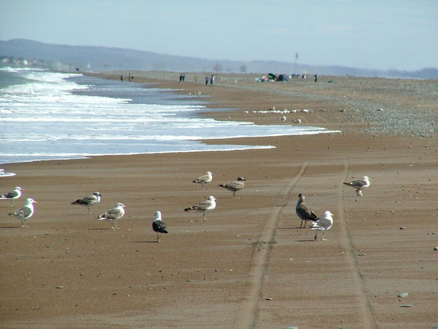 camino