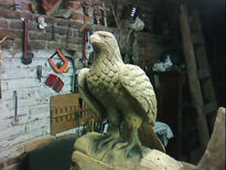 Aguila real