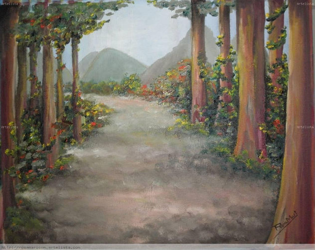 CAMINANDO POR EL BOSQUE