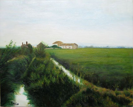La Albufera 1