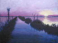 La ALbufera 4