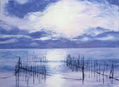 La Albufera 5