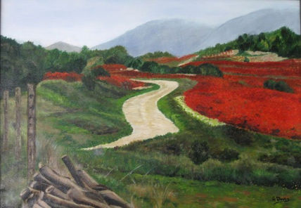 Viñas de Utiel 2