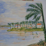 Palmeras y Espacio thumbnail 2