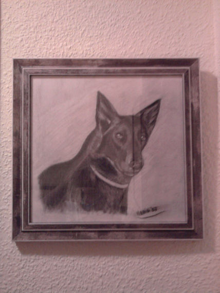 Laika