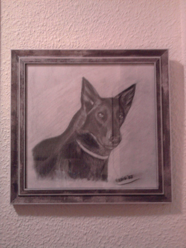 Laika