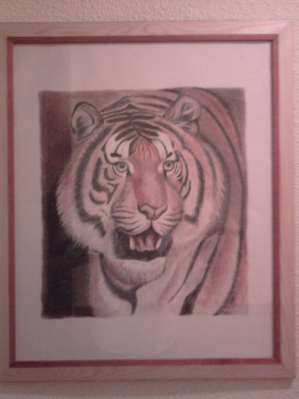 Tigre