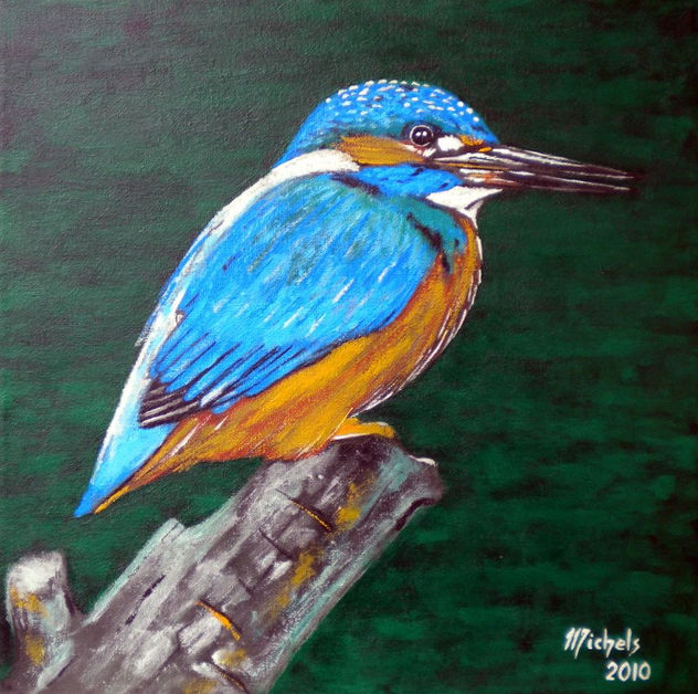 Europäischer Eisvogel (Alcedo atthis)