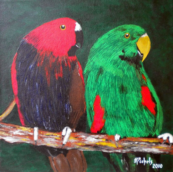 Edelpapagei (Eclectus roratus) Acrylic Canvas Animals