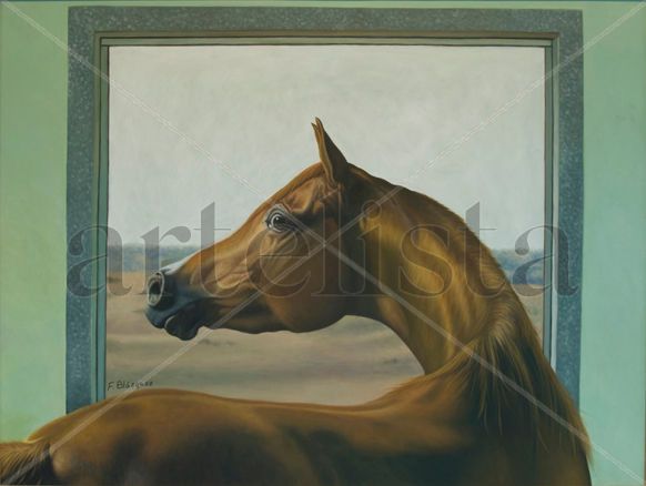 Caballo Pura Raza Arabe Oil Canvas Landscaping