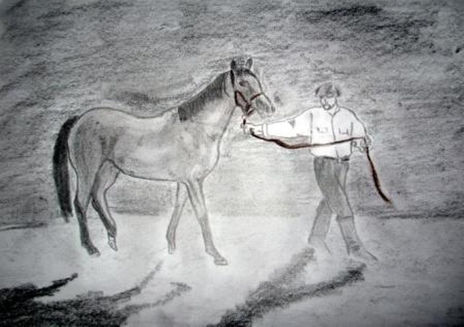El gaucho