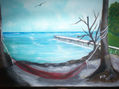 playa tranquila