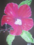 flor