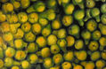 frutas
