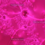 Solidos 2009 thumbnail 2