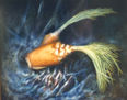 PALMITOS