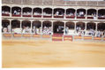 CORRIDA DE TOROS