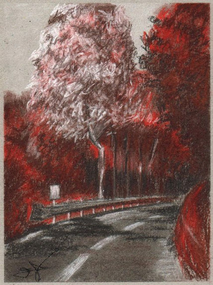 Rojos