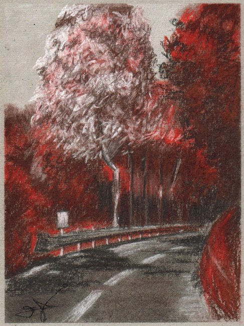 Rojos