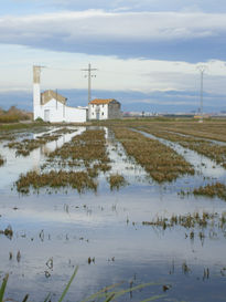 Reflejos i