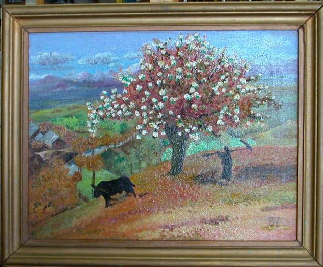 Valle de Cachemira