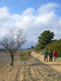 Paseando