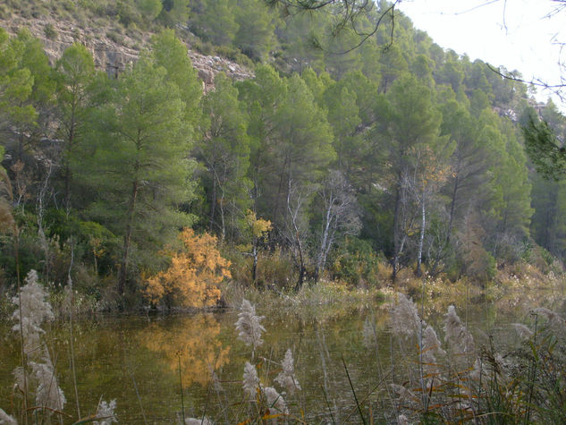 REFLEJOS I 