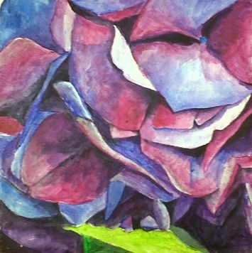 Hortensia morada