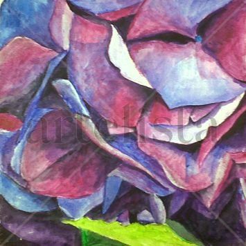 Hortensia morada