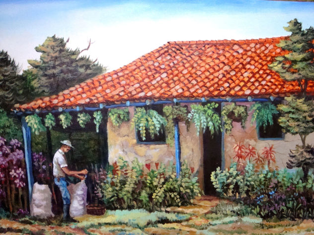 tarrazú
