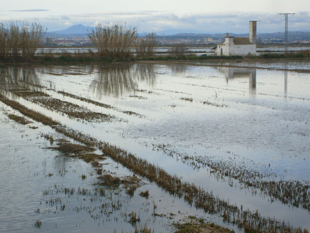 REFLEJOS II 