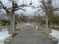 LANZAS II