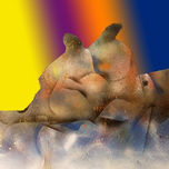 COLECCION 2008 thumbnail 1