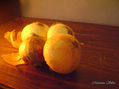 cebollas 2