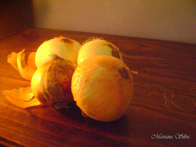 cebollas 2