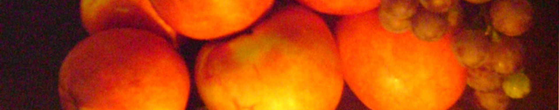 Imagen de portada