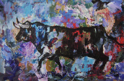 Toro 14