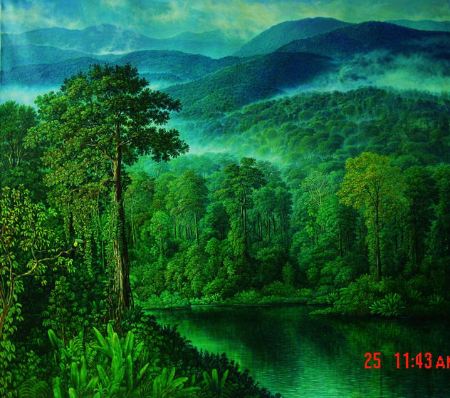 selva y montañas