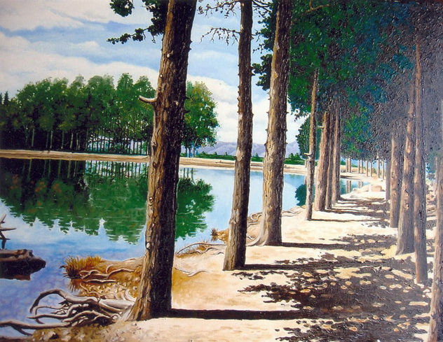 vora al llac