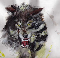 Lobo