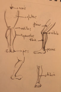 Cuaderno de bocetos159