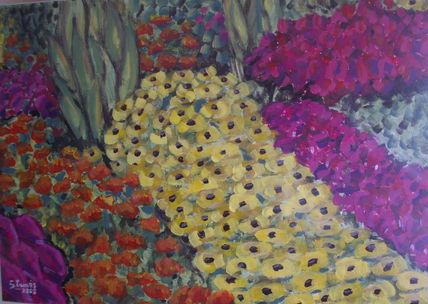 Flores