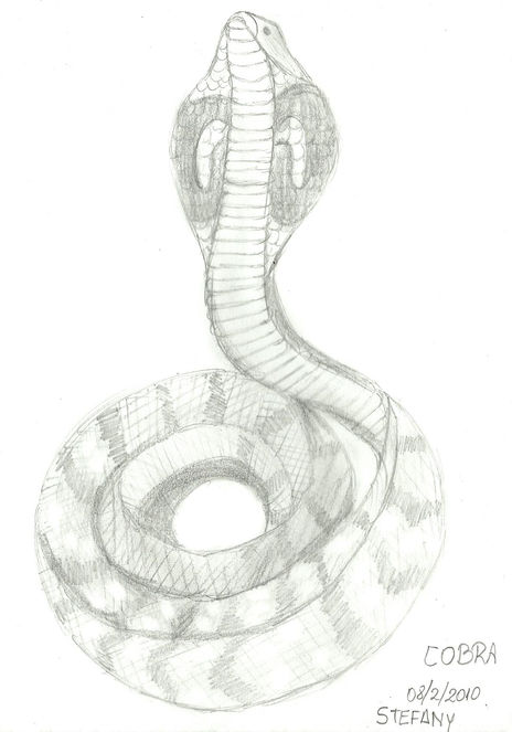Dibujos animados