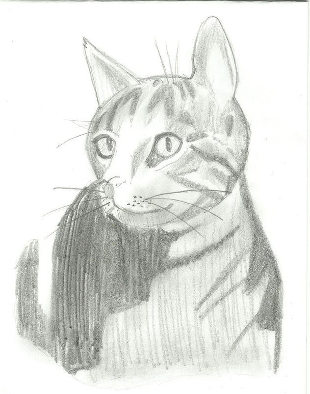 dibujos animados