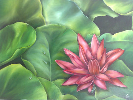 Flor de lolto